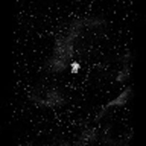 Meet your Posher, Maya